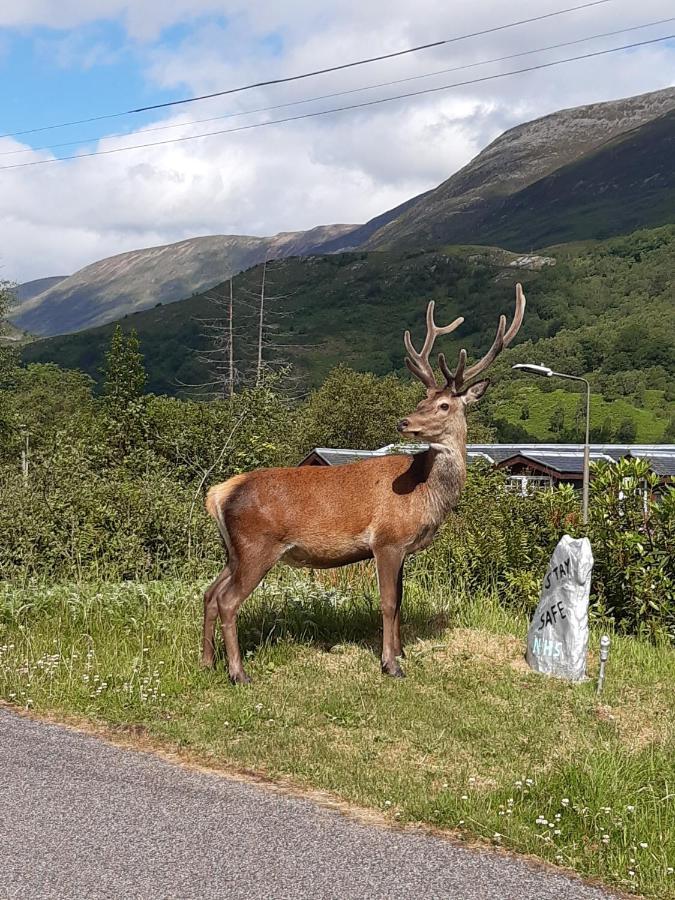 Etive Pod, West Highland Way Holidays キンロックリーバン エクステリア 写真